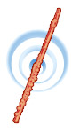 flute