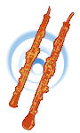 Oboe - Engllish Horn