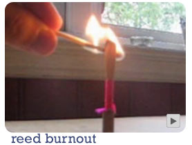 oboe reed burnout